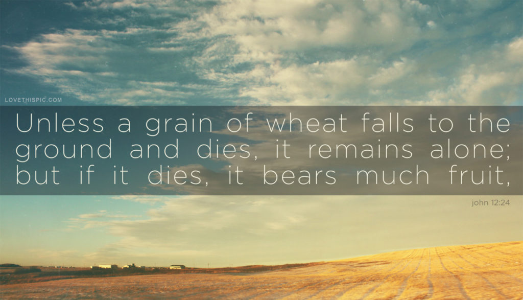 unless_a_grain_of_wheat_falls_to_the_ground